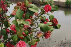 西甲第六轮：皇马领衔豪门对决，保级大战悬念迭起