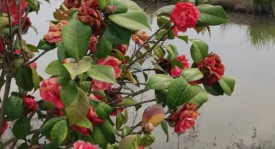 西甲第六轮：皇马领衔豪门对决，保级大战悬念迭起